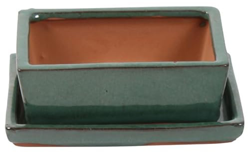 Bonsai Pot with Saucer - Rectangular 15cm - Terracotta - Perfect for Bonsai Trees and Succulents