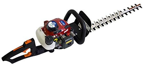 Ama Cortasetos Pro 60 cm agp-HT 60 R asa giratoria 23.5 CC