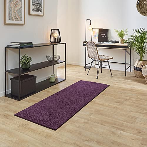Carpet Studio Ohio Teppich Läufer 67x180cm, Weicher Kurzflor Teppich Läufer Flur, Schlaffzimmer, Wohnzimmer & Küche, Pflegeleicht, Geruchsneutral - Lila