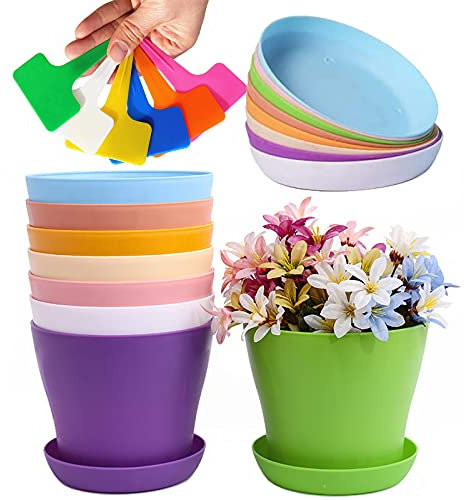 Taasmoog Colorful Plastic Plant Pots, 8Pcs Plant Containers in 8 Colors with Colorful Plant Labels Nursery Flower Planter Pots with Pallet for Indoor and Outdoor Use (10 cm)