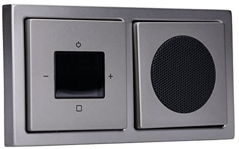 Busch-Jaeger UP-Radio-Set: 8217 U-101 BTconnect DAB+ + 8252-866-101 Zentralscheibe Radio DAB+ + 8223 U Lautsprecher-Einsatz + 8253-866 Zentralscheibe Edelstahl + 1722-866K 2-fach Rahmen, Pur Edelstahl
