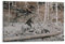 TINCHEW Bigfoot Poster Gemälde auf Wandkunst, Tapisserie, Bilddruck, Wohnzimmer, Wanddekoration, Heimteppiche, 30 x 45 cm