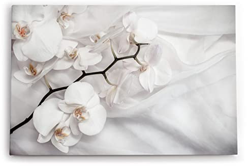 Paul Sinus Wandbild 60x40cm Dekorative Kunst Weiß Orchidee Blumen Blüten Hell Fotokunst