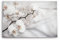 Paul Sinus Wandbild 60x40cm Dekorative Kunst Weiß Orchidee Blumen Blüten Hell Fotokunst