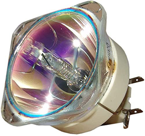 BL-FU310B / DE.581118436 Lampe de projecteur sans boîtier pour Optoma EH500 DH1017 X600