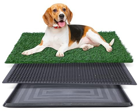 Kunstrasen für Hundetöpfchen – 50,8 x 76,2 cm, Starke Saugfähigkeit, Hundegrasunterlage mit Tablett, Hundetöpfchentrainingspad, Hundetoilette mit Gras (groß)
