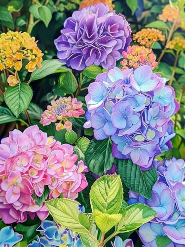 CICISTORY DIY Pintar por Numeros Kit de Pintura al óleo con Números para Adultos y Niños de Lienzo Decoración para el Hogar 40x50cm sin Marco