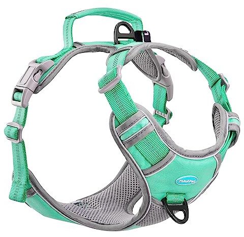 ThinkPet Anti Zug Hundegeschirr, Sportlich, Reflektierend, Atmungsaktiv, Gepolstert (XL, Blaugrün)