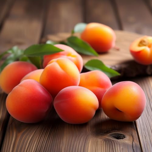 20 pcs Aprikosenbaum kaufen samen - danke geschenk bäume garten winterhart,aprikosen, nachhaltige geschenke für frauen exotische früchte dekopflanzen obstsamen bio saatgut obstbäume