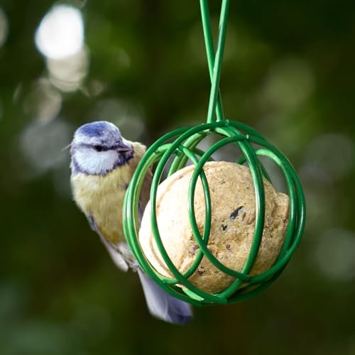Hanging Fat Balls Feeders (Pack of 3) - Galvonised Iron - WEATHERPROOF Bird Feeders for Small Birds, Outdoor Garden Suet Feeder for Trees or a Bird Hanging Station