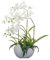 TreesHouse Premium Orchideen Künstlich 58 cm I Künstliche Orchideen wie Echt I Blumen Deko I Künstliche Orchidee im Topf I Hergestellt in der EU I 4 Stängel - 22 Blüten I Weiß (Blumentopf aus Beton)