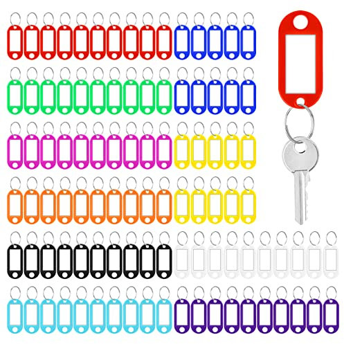Vicloon 100pcs Porte Étiquettes Cle,Porte-Clés en Plastique Plaques pour clés Multicolores avec Anneau pour Identificateur de Clé de Porte, Valise,Hôtel,Animal de Compagnie