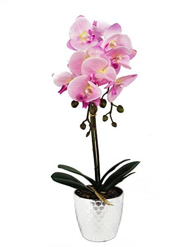 Leaf Design UK Realistic Artificial Orchid Flower Display in Pot, Light Pink Silver, 50cm