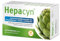 Hepacyn Artischocken-Extrakt | aktive Fettverdauung und Lebergesundheit | Frischpflanzen-Extrakt + Cholin + B-Vitamine | 60 Tabletten