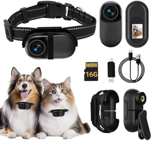 Aboiled Mini Action Sport Cam 1080p HD Cat Camera Collar with Video Recording, 16G SD Card- Pet Supplies/Stuff All Activities