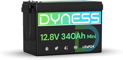 Dyness Batteria Litio 12V 340Ah LiFePO4 a Ciclo profondo con 200A BMS, Protezione Dalle Basse Temperature, Max. 15000 cicli, per Camper, Impianti Solari off-grid, Fotovoltaico Accumulo