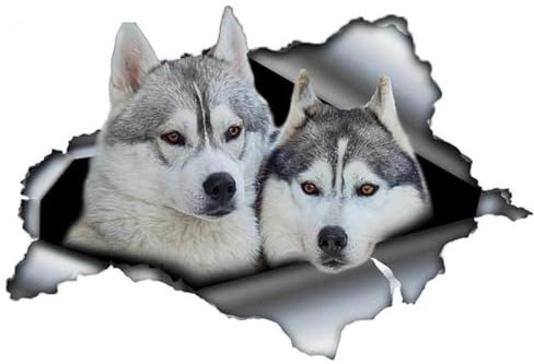 38cm x 26 CM kreativ PVC 1. 3cm x 9 CM 3D Sibirien Husky Auto Aufkleber Zubehör Motorrad Wasserdichte Fenster Bett Applique(26cm x 18cm)