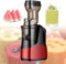 pealiritansemen 150 W Slow Masticating Juicer Machine, 1000 Ml Large Capacity Automatic Cold Press Double Filtering 90% Juice Yield, Detachable Components, Large Diameter Feed Trough