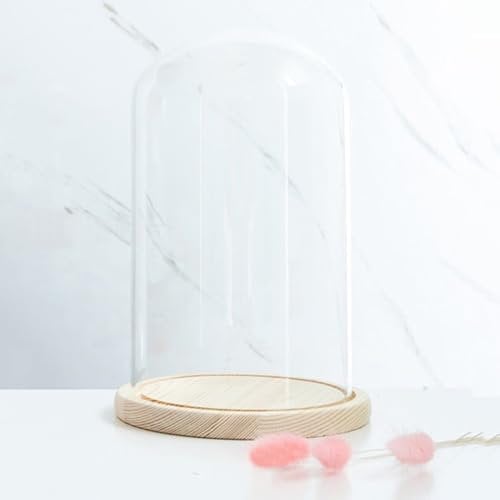 CHZIMADE Glass Domes for Display Cloche Dome with Vintage Wooden Base Clear Display Bell Jar Glass Cover Showcase for Flower Collection Toy #8