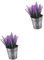 ibasenice 2 Pezzi ornamenti per la decorazione del desktop lavanda impostore Ornamento desktop pentola impianti Piccole piante artificiali falso vaso decorativo per piante ferro da stiro