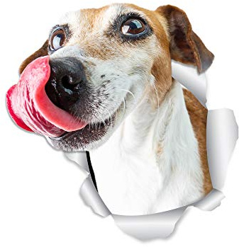 Winston & Bear Hungry Jack Russell Dog Wall Decals - 2 Pack - Jack Russell 3D Sticker Decals for Walls, Cars, Toilet and More - Retail Packaged Jack Russell Gifts