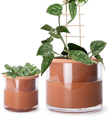 Phoenix Vine 51-A-G-46 Pots de Fleurs en Terre Cuite à arrosage Automatique de 10,2 cm et 15,2 cm, Pots en Terre Cuite pour intérieur avec Vase en Verre