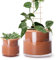 Phoenix Vine 51-A-G-46 Pots de Fleurs en Terre Cuite à arrosage Automatique de 10,2 cm et 15,2 cm, Pots en Terre Cuite pour intérieur avec Vase en Verre