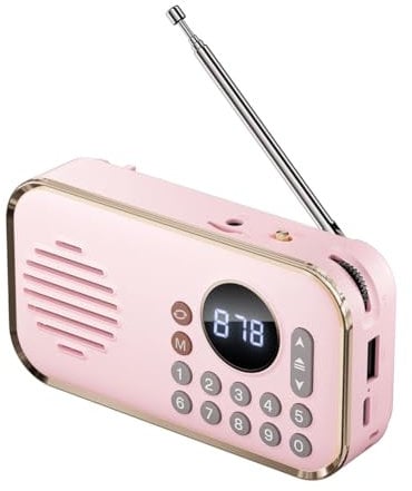 GOSER Portable FM Radio Rechargeable Small Wireless Bluetooth Speaker Surround Stereo Sound USB Vintage Radios Pink