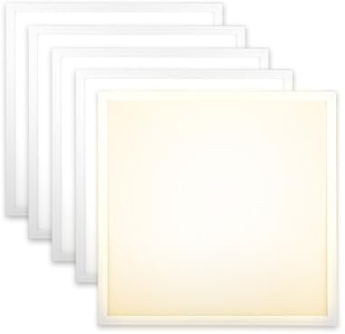 Xtend EcoLight 5x LED Panel 62x62cm 3000K Warmweiß 40W 3400lm Rasterleuchte flimmerfrei LED Deckenleuchte Netzteil PLe2.2