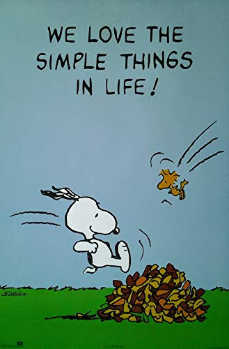 Peanuts, Snoopy & Woodstock: We Love The Simple Things In Life! | US Import Filmplakat, Poster [61 x 91,5 cm]
