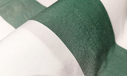 Home Tresor - Tenda da Sole per Esterno con Anelli e Ganci | Tenda da Sole Fantasia a Righe Bianco Verde per Verande Balconi Camper Misura cm. (200 x 300)