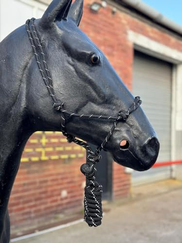 Hi-Viz reflektierendes Seilhalfter mit Führstrick Se voll verstellbar (Cob, Schwarz)