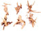 Pocoiau Aquariums sous-marins naturels cachettes maison en bois décorations d'aquariums Art Terrariums Habitat Ornements