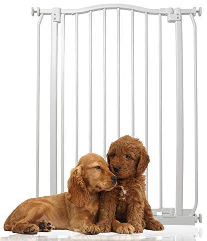 Bettacare Barrière pour Chien à Design Courbé Extra Haute, Barrière à Pression pour Chien et Chiot, Installation Facile, 71cm - 80cm, Hauteur Extra Haute de 100cm, Couleur Blanc Mat