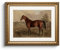 HUARCEY Leinwand Bilder mit Gold Rahmen, Vintage Wandbilder, Klassisch Wand Deko Wohnzimmer Schlafzimmer Badezimmer Küche, Bauernhaus Zimmer Deko Aesthetic, Pferd Tier Painting, 33x40cm, klein