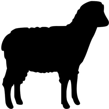 Generisch Schaf Aufkleber Sticker Farmer Wiese Tier Bauernhof Dolly Klon Wolle JDM 12x12cm Farbe: Weiß