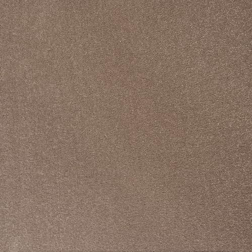 Underfoot Felt-Backed Carpet - Durable Twist Pile Carpet Bleach-Cleanable & Stain-Resistant | Easy Fit DIY Friendly Carpets (Taupe, 5m x 4m)