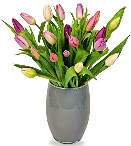 Letterbox Tulips - Mother's Day Fresh Flowers, Fresh Flowers Delivery, Flowers Fresh Bouquet, Perfect for Birthdays, Mother's Day and Thank You Gifts