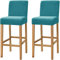 Dimatic Samt Plüsch Stuhl Abdeckung Theke Pub Bar Hocker Stuhl Slipcover für Esszimmer Cafe Barhocker Slipcover Möbelschutz Anti-Rutsch-Bezug mit elastischem Boden, 2er Set, Türkis