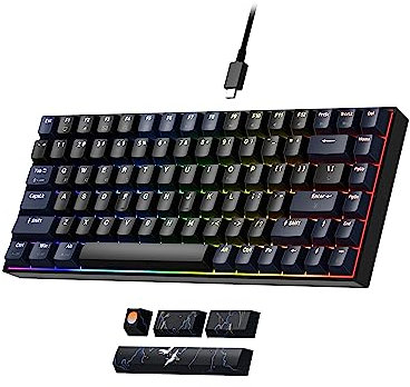 Newmen GM840 Clavier Gaming sans Fil Mini,Clavier Mécanique 60% Blanc et Gris USB/Bluetooth/2.4Ghz,Clavier Gamer Mecanique RGB Rétroéclairé échangeable à Chaud pour PC/Mac/Win(Box Blanc)