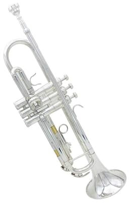 Trompeten Trompete Bb B Flat Brass Exquisite Handschuhe Instrumente Professionelle Und Langlebige Anfängertrompete(Silver)