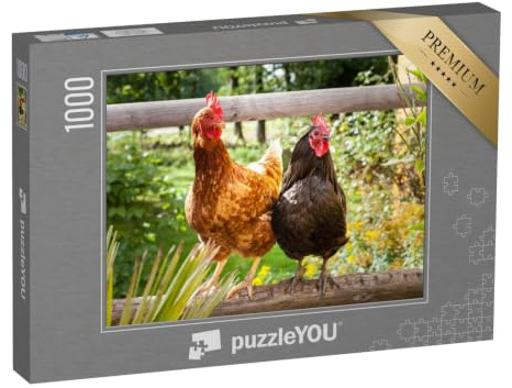 puzzleYOU: Puzzle 1000 Teile „Glückliche Hühner auf einem Holzzaun im Freien“ – aus der Puzzle-Kollektion Hühner & Küken, Bauernhof-Tiere