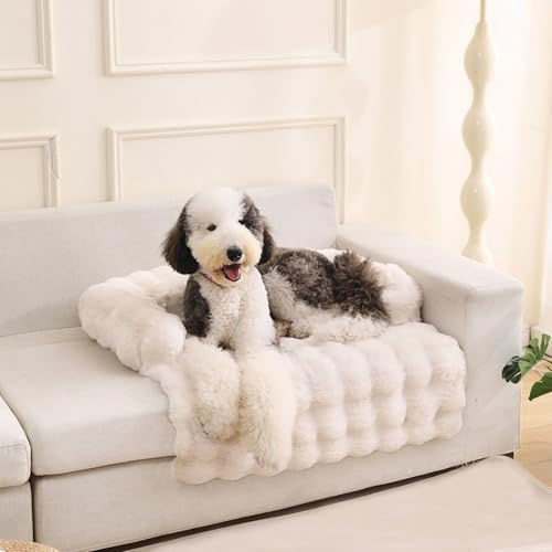Gafutozm Hundebett Sofa, Extra Weiches Plüsch Haustierbett mit Erhöhtem Rand, Kuscheliges Haustierbett für Kleine und Mittlere Hunde (Weiß, L: 94 * 85cm)