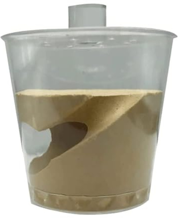 Formicarium， Ant Castle Cup Nest Königin Anbau Gips Farm Geeignet Für 10 Oder Weniger Ameisen Fütterung Box Insektenhaus Zum Ameisen Beobachten