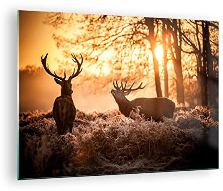 Bilder auf Glas Deer Heidekraut Tier Glasbild 70x50cm Wandbilder Dekoration Wohnzimmer Schlafzimmer Küche Deko Klein Wanddeko Bild im Glas Wand Kunstdruck Art Modern Wall Decor Glasdruck GAA70x50-3043