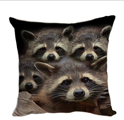 Violetpos Kissenhülle Deko Sofa Zierkissenbezug Auto Zierkissenbezüge Kissenbezüge Kopfkissen Kissen Nette Graue Waschbär-Tiere 45 x 45 cm