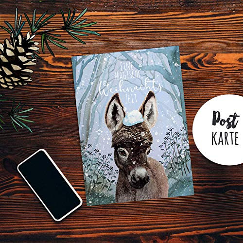 ilka parey wandtattoo-welt A6 Weihnachtskarte Weihnachtsgrüße Postkarte Print Esel im Schnee Grußkarte Eine magische Weihnachtszeit pk224 - ausgewählte Menge: *5 Stück (desselben Motives)*