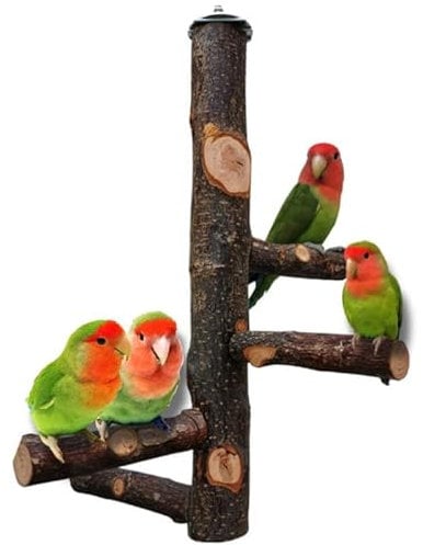QeeHeng Vogelständer, Naturholz, Papageienstange, Vogelkäfig, Sitzstangen für Papageien, kleine Sittiche, Nymphensittiche, Aras, Papageien, Liebesvögel, Finken