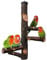 QeeHeng Vogelständer, Naturholz, Papageienstange, Vogelkäfig, Sitzstangen für Papageien, kleine Sittiche, Nymphensittiche, Aras, Papageien, Liebesvögel, Finken