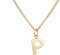 Halskette mit Buchstabe in Gold mit 18 Karat Vergoldung I Buchstabenkette für Damen I Persönliches Geschenk I Goldene Kette mit Letter Anhänger (P) - Valentinstag-Geschenk für Sie und Ihn